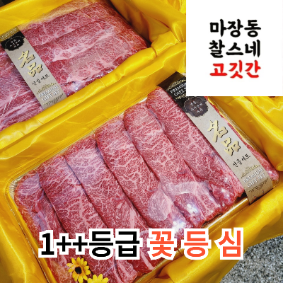 400g꽃등심_스테이크용(덩어리)바베큐 1++등급 한우