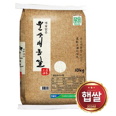 담양군농협 24년 햅쌀 운수대통쌀 10kg / 당일도정 상등급